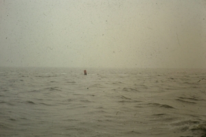 DSC00948