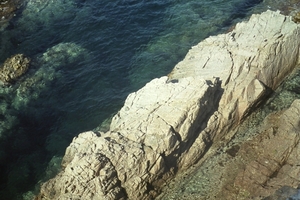 DSC00518