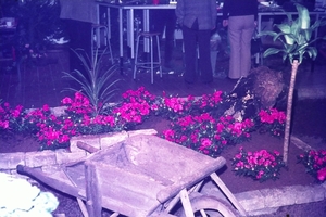 DSC00092