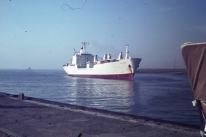 DSC00154