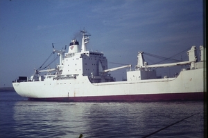 DSC00155