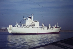 DSC00156