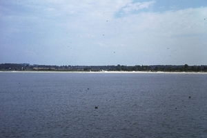 DSC00135