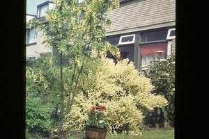 DSC00181