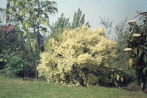 DSC00182