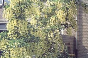 DSC00185