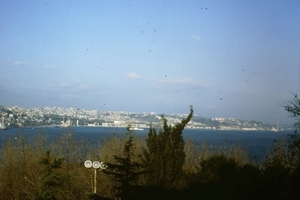 DSC00348