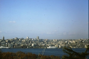 DSC00349