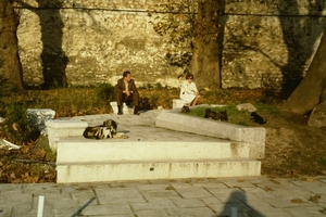DSC00360
