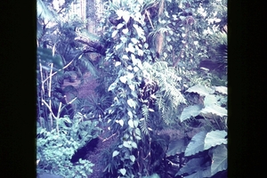 DSC00430