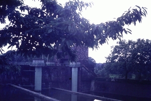 DSC00513