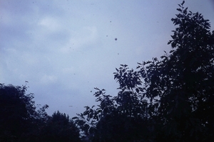 DSC00515