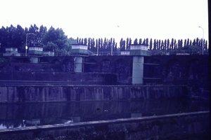 DSC00516
