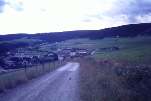 DSC00538