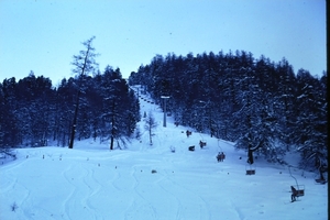 DSC00564