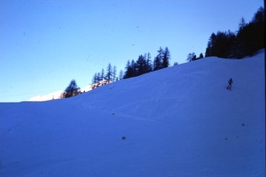 DSC00565