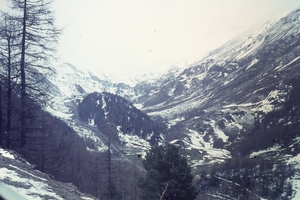 DSC00724