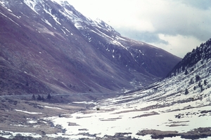 DSC00730