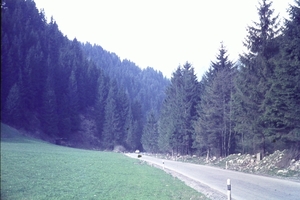 DSC00731