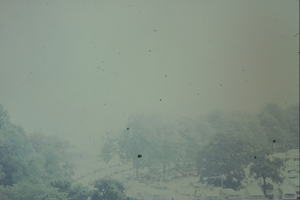 DSC00630