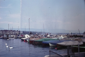 DSC00156