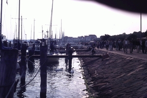 DSC00167