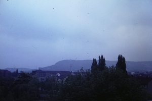 DSC00230