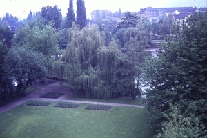 DSC00231