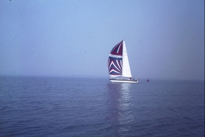 DSC00284