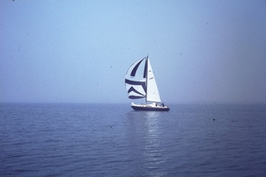 DSC00285