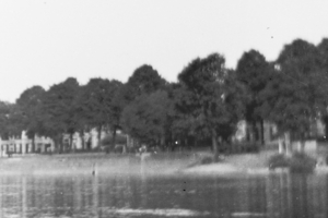 DSC00270