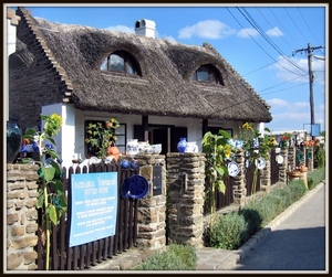 Hungarian shop