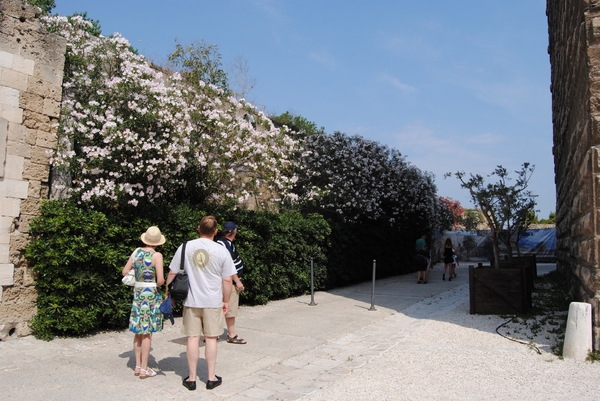 Nicole Hendrickx Cruise 2010 029