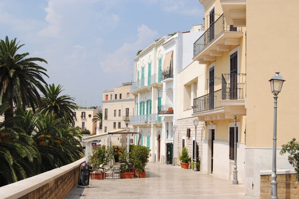 Nicole Hendrickx Cruise 2010 049