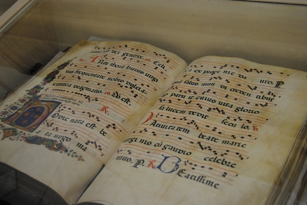 Nicole Hendrickx Cruise 2010 143