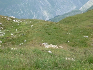 P1000845