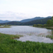 cerknica meer vol