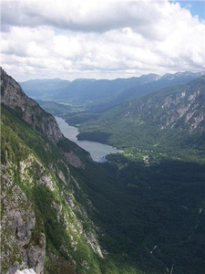 meer bohinj