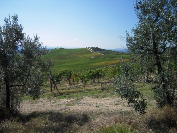 DSCN0949