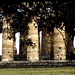 Paestum  Zuid Itali