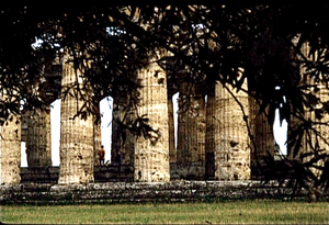 Paestum  Zuid Itali