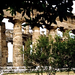 Paestum  Zuid Itali