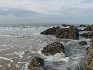 oostende 8-11-08 (2)