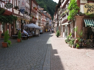 frankenland 2009 006