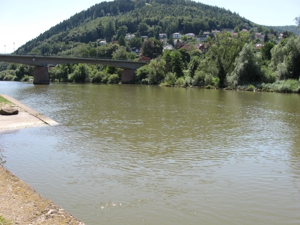 frankenland 2009 029