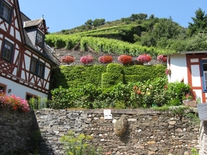 frankenland 2009 101