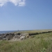 DSC00175