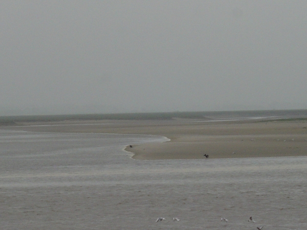 Monding van de Somme