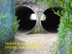 vakantie 2008 050