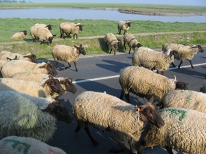vakantie 2008 134